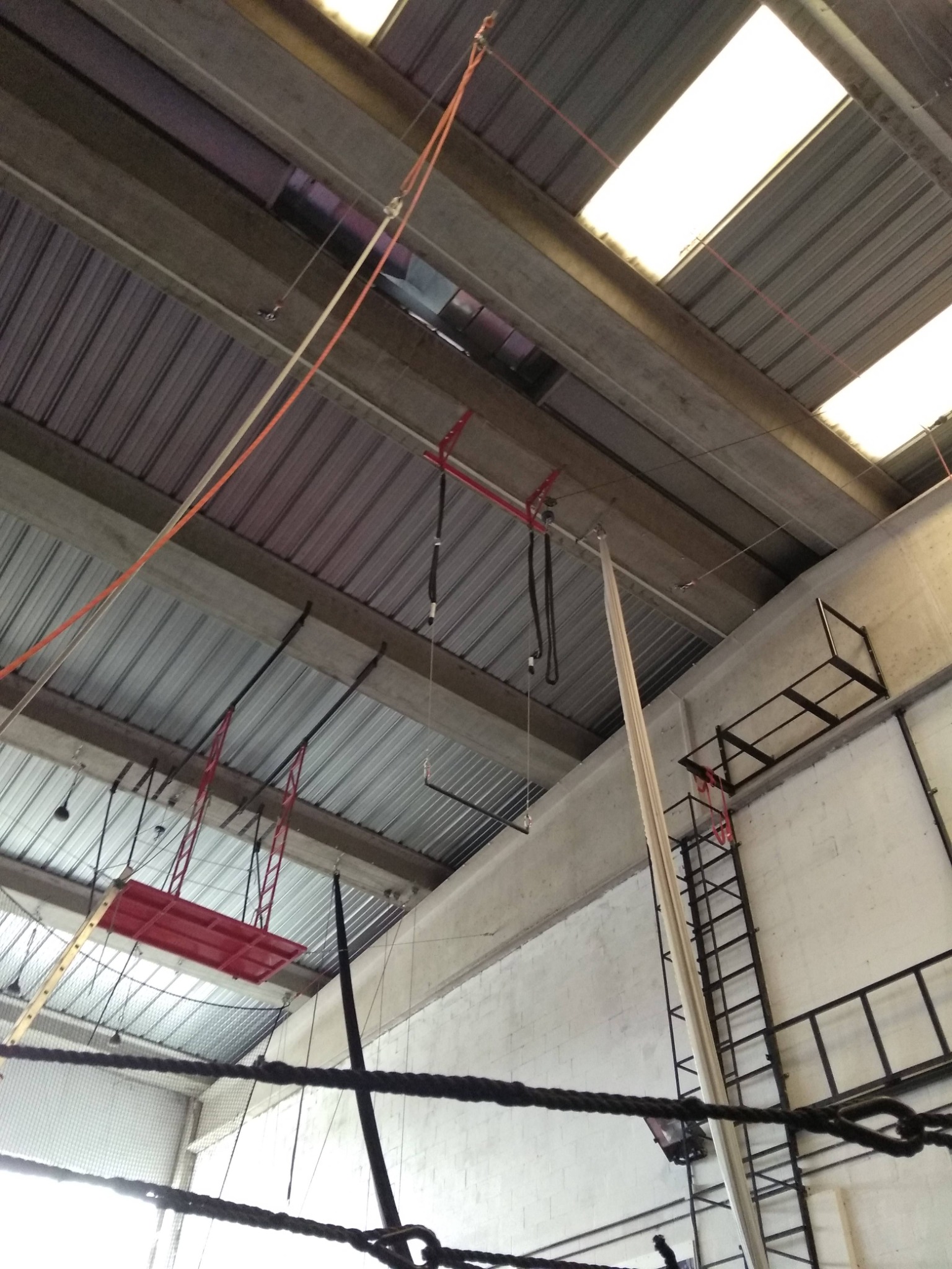 Rig de trapecio dentro de Team All Stars